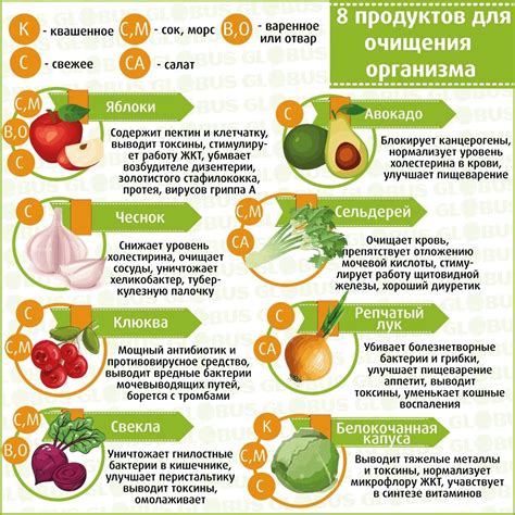 печень крепит или слабит|печень полезный для нее.